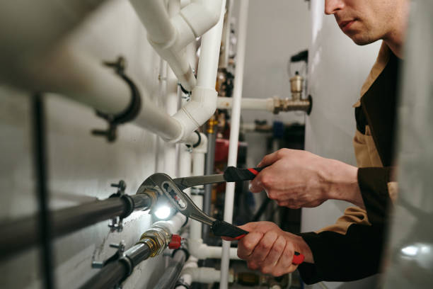 Best Local Plumber Services  in Felton, DE