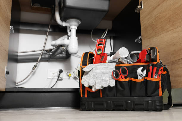 Best Drain Cleaning Services  in Felton, DE
