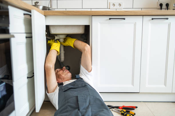 Best Septic Systems  in Felton, DE